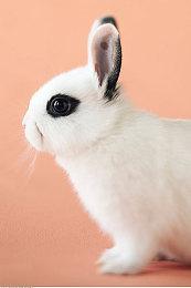 粉丝使用虚幻5打造《生化奇兵》巴黎场景演示